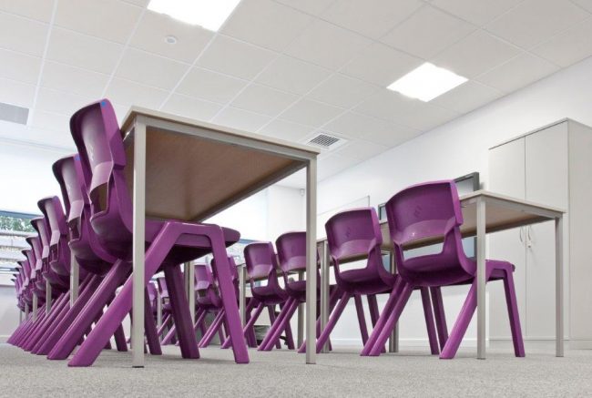 Postura Grape Crush 02