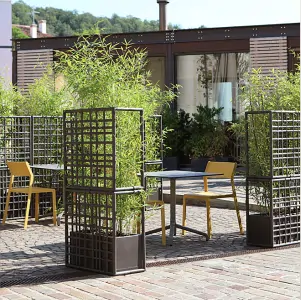 PLANTERS BOXES